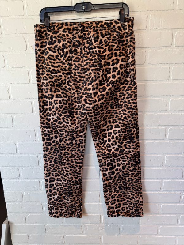 Jeans Straight By Hudson In Animal Print, Size: 8 Online Sale