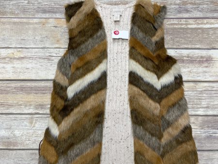 Vest Faux Fur & Sherpa By Chicos In Multi-colored, Size: Xs Online now