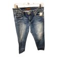 Jeans Straight By Joes Jeans In Blue Denim, Size: 4 For Sale