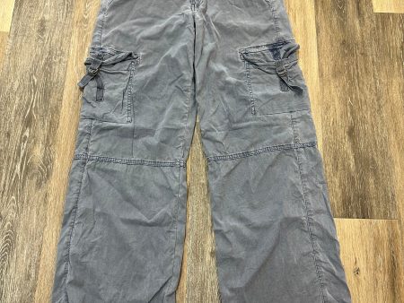 Pants Cargo & Utility By American Eagle In Blue, Size: 2 Online Sale