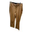 Pants Leggings By Lysse In Brown, Size: Xs Cheap