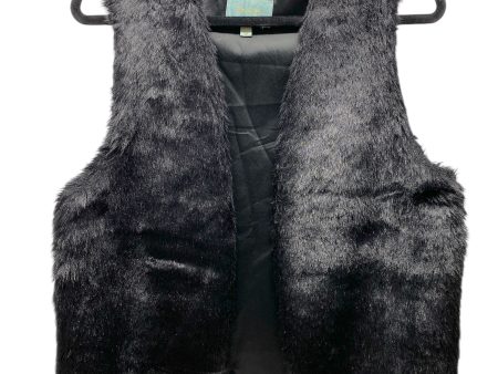 Vest Faux Fur & Sherpa By Skies Are Blue In Black, Size: M For Discount