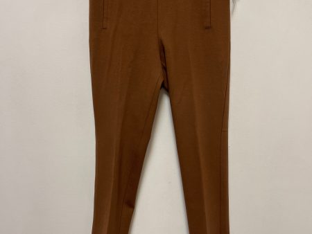 Pants Leggings By Chicos In Bronze, Size: 8 Online