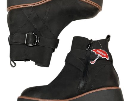 Boots Ankle Heels By Blondo In Black, Size: 7 Online now