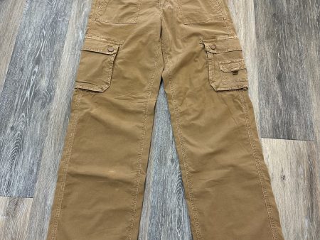 Pants Cargo & Utility By American Eagle In Tan, Size: 2 Fashion